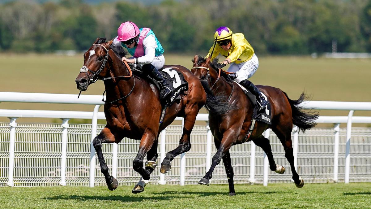 Glorious Goodwood 